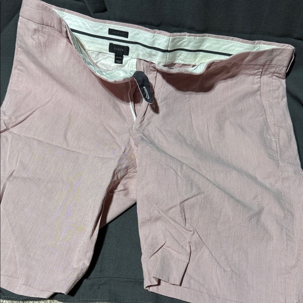 J. Crew Pink Flat Front Men Shorts